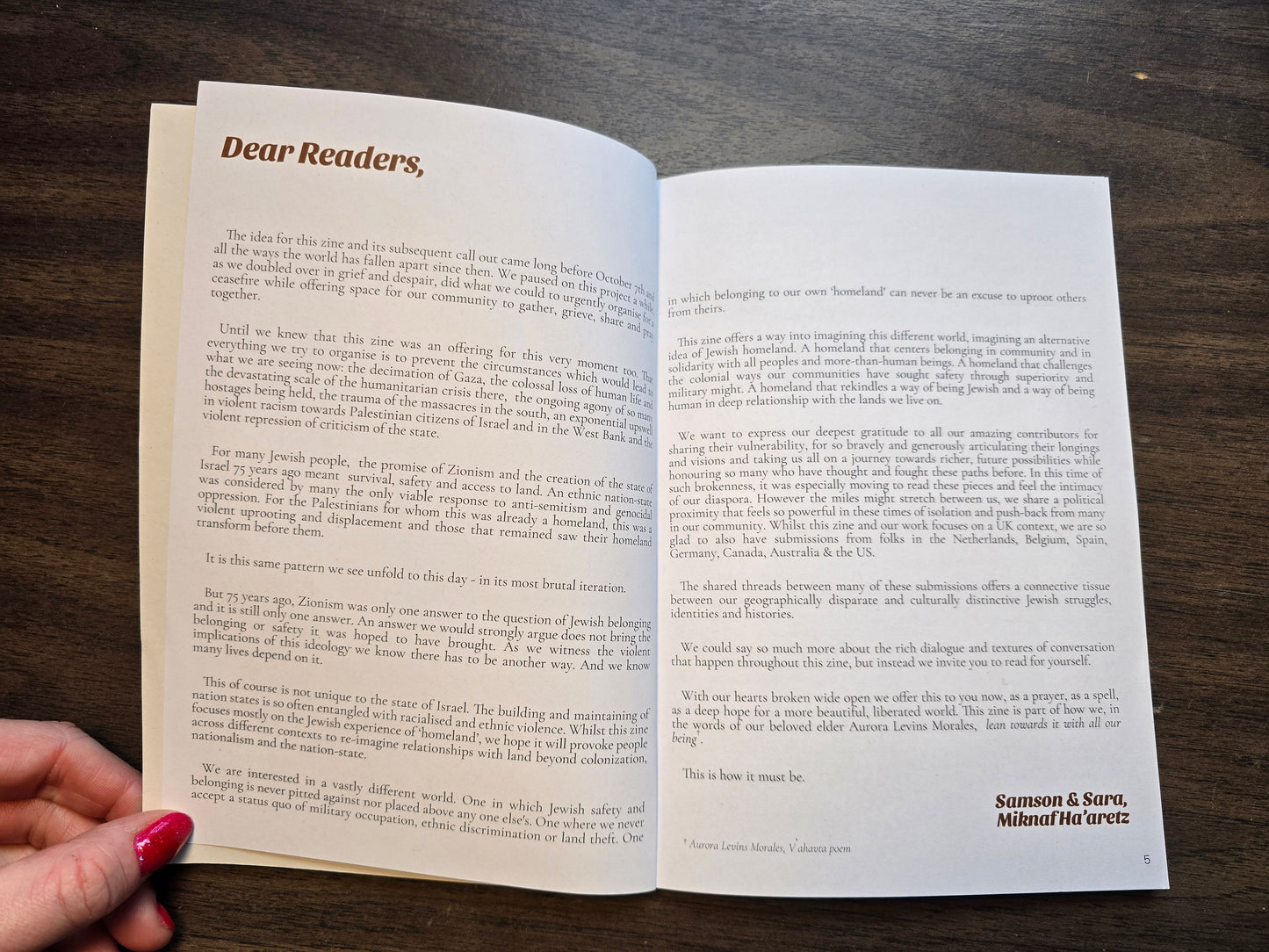 Homeland: A Zine on Jewish Belonging