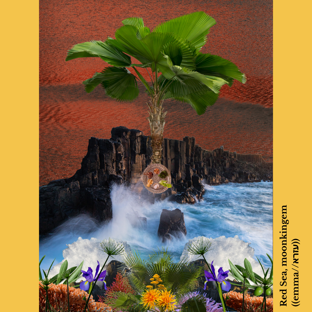 Pillar of Fire: A Queer Anti-Zionist Haggadah