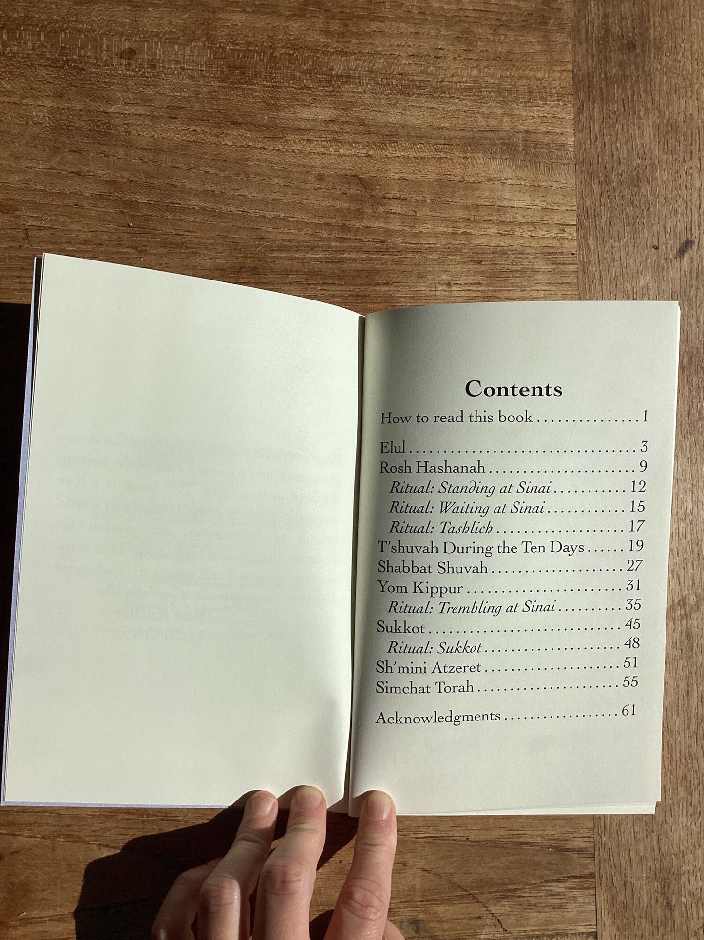 Social Justice Warrior’s Guide to the High Holy Days