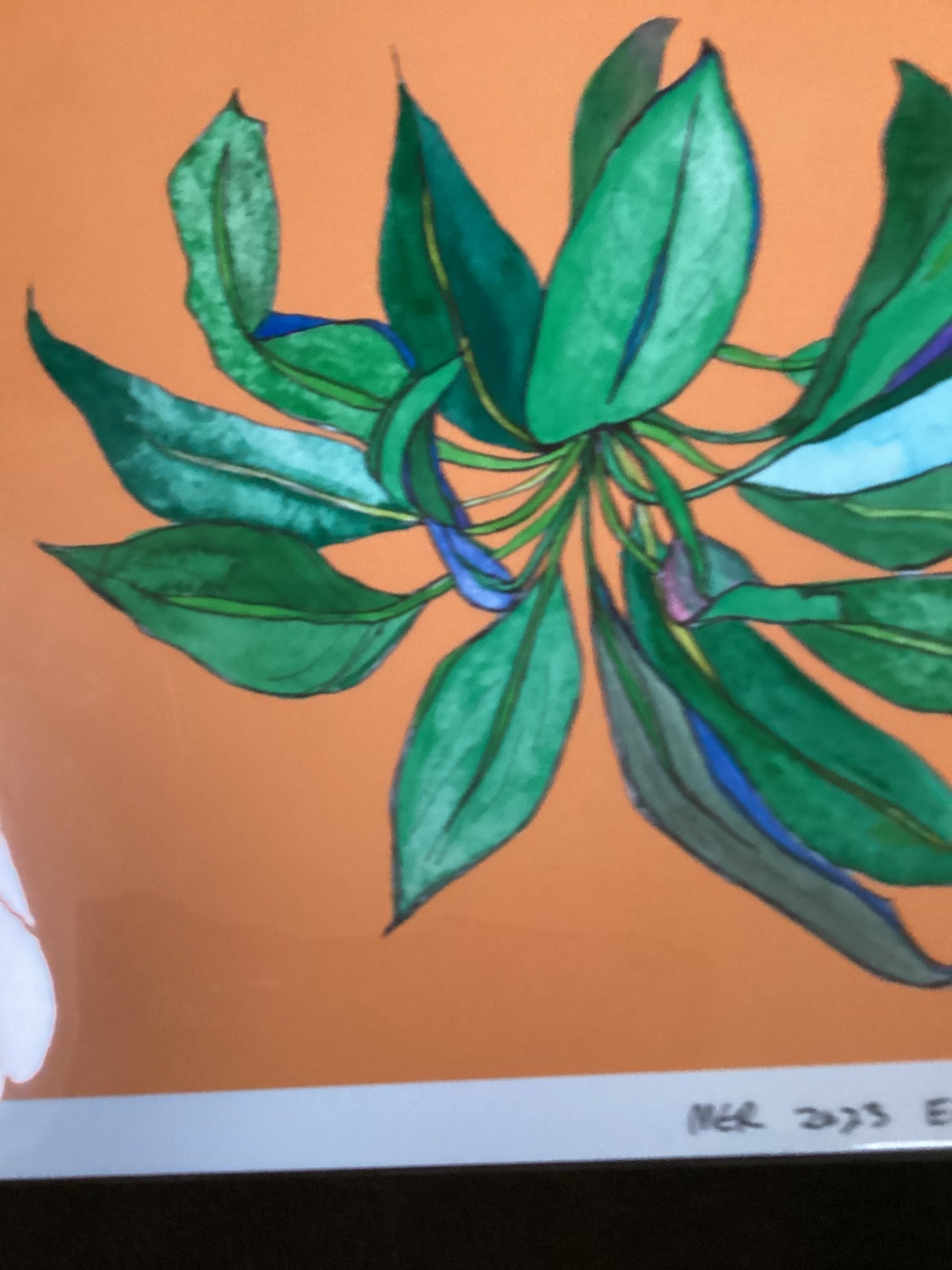 Madison Rubinstein - doloy politzei