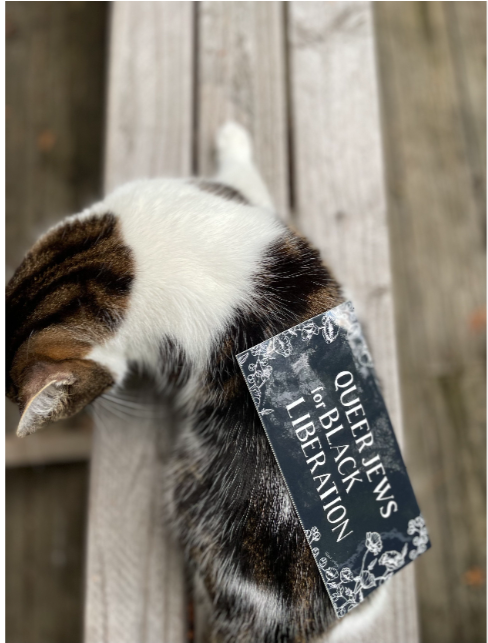 Linke Fligl Sticker Pack (4)