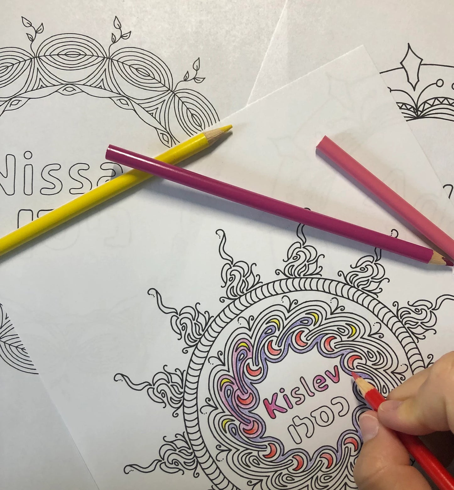 Illuminating the Moon: A journal & Coloring Book for Rosh Chodesh