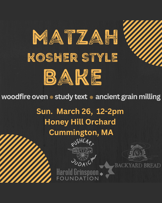 Kosher Style Matzah Bakes