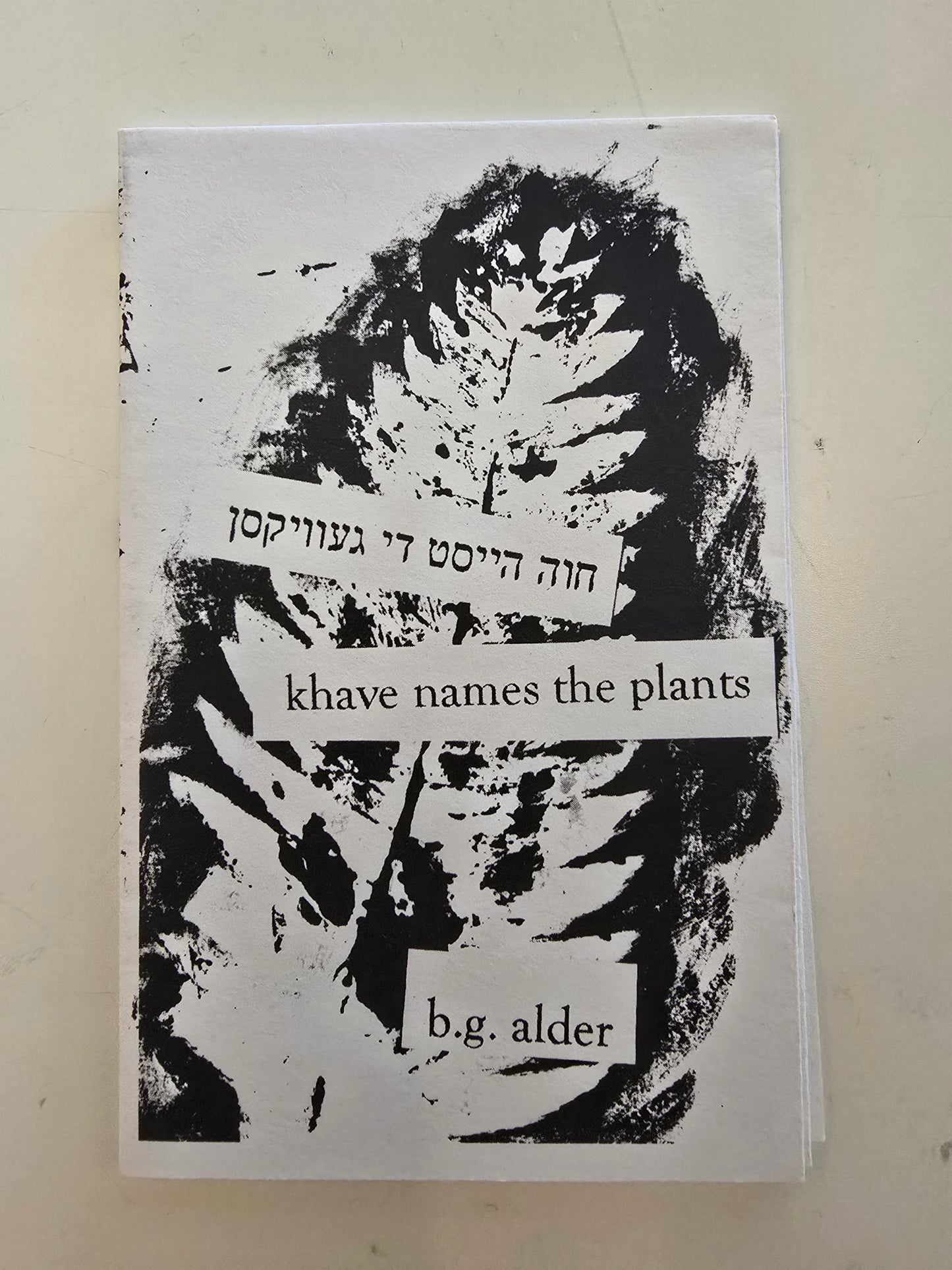khaves names the plants