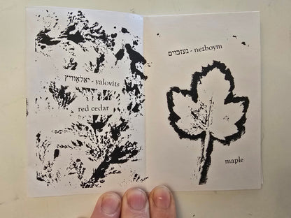 khaves names the plants