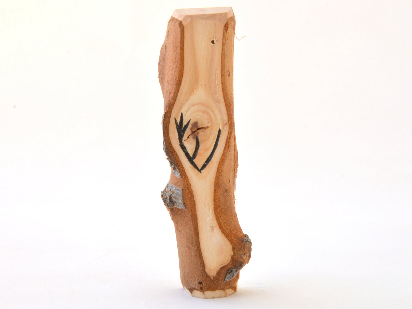 Black Cherry Mezuzah Cases