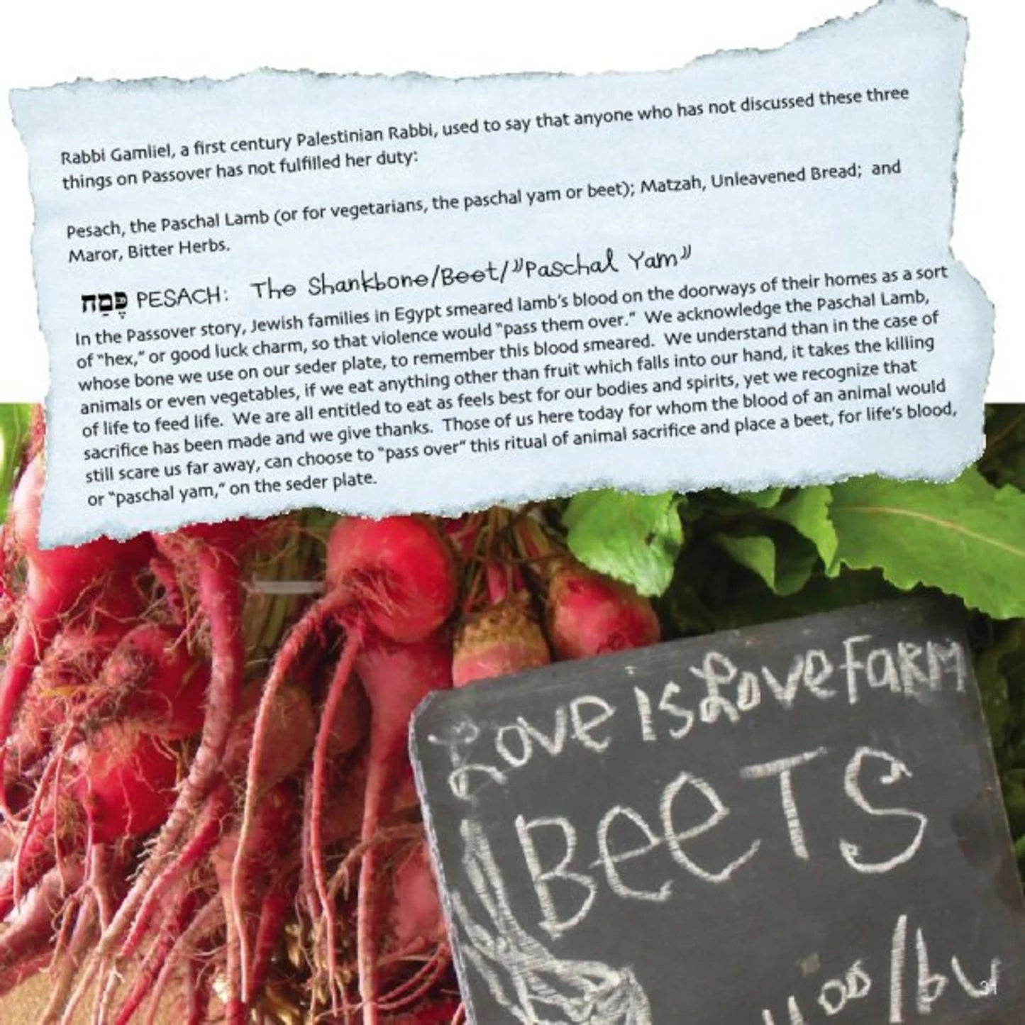 Open-Eyed Heart-Wide Haggadah