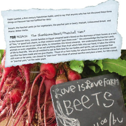 Open-Eyed Heart-Wide Haggadah