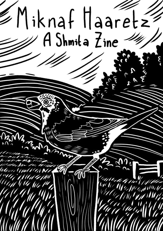 A Shmita Zine: 5782